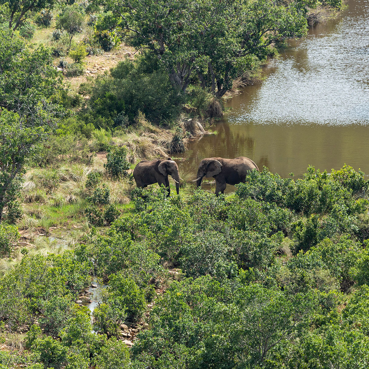 Clifftop Exclusive Safari Hideaway 6