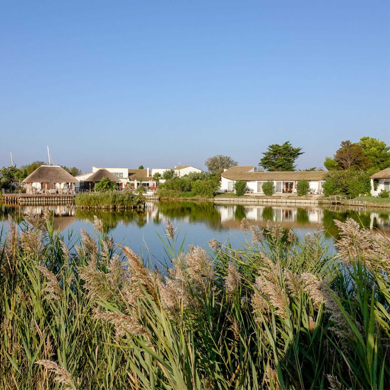 L'Estelle en Camargue 1