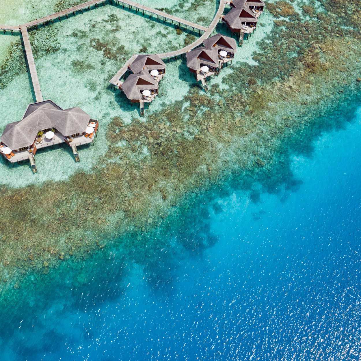 Mirihi Island Resort 3