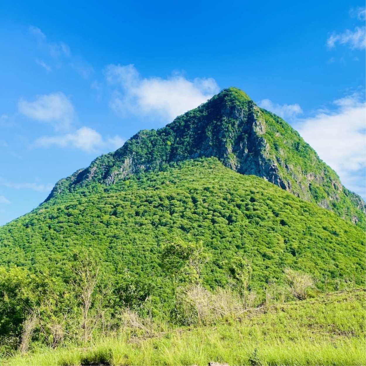 Têt Rouge Resort St.Lucia 5