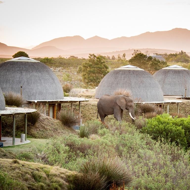 Gondwana Game Reserve 5