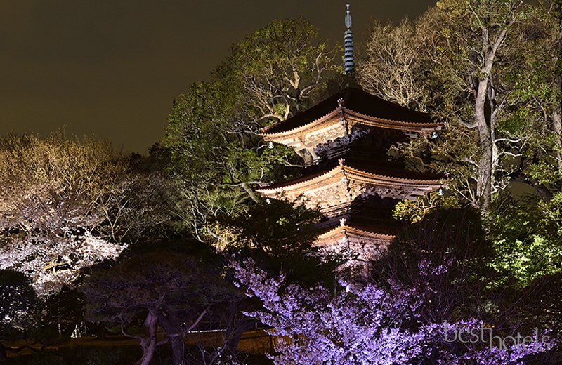 Hotel Chinzanso Tokyo 1