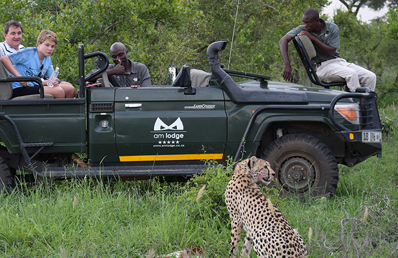 Am Lodge Hoedspruit 5