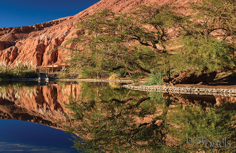 Alto Atacama Desert Lodge & Spa 7