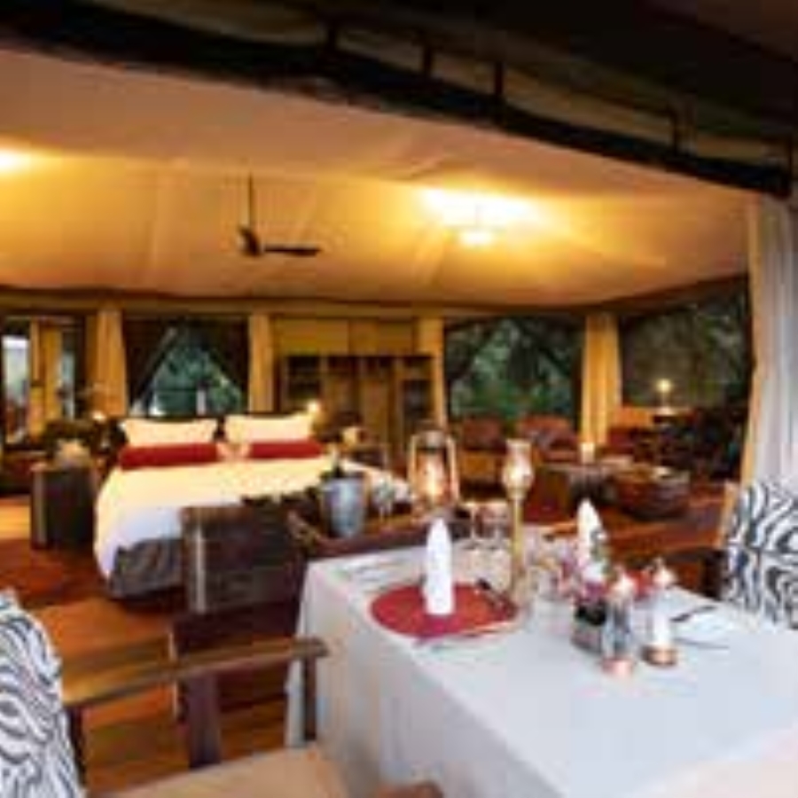 Mara Plains Camp 3