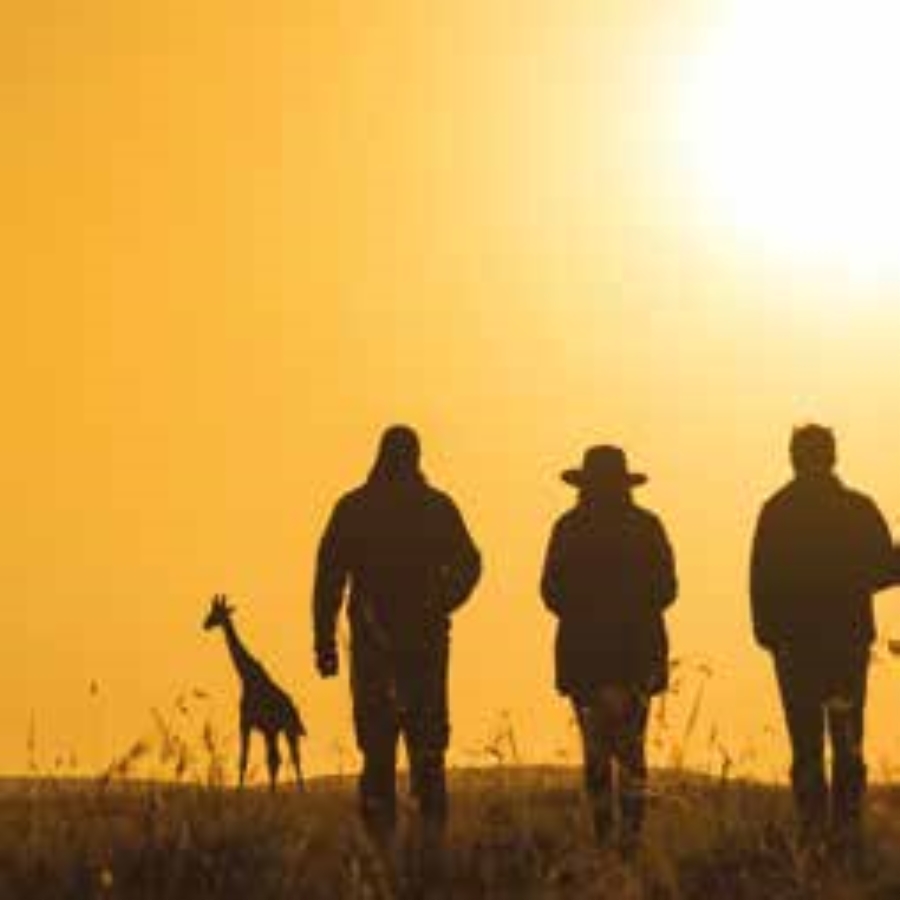 Mara Plains Camp 5