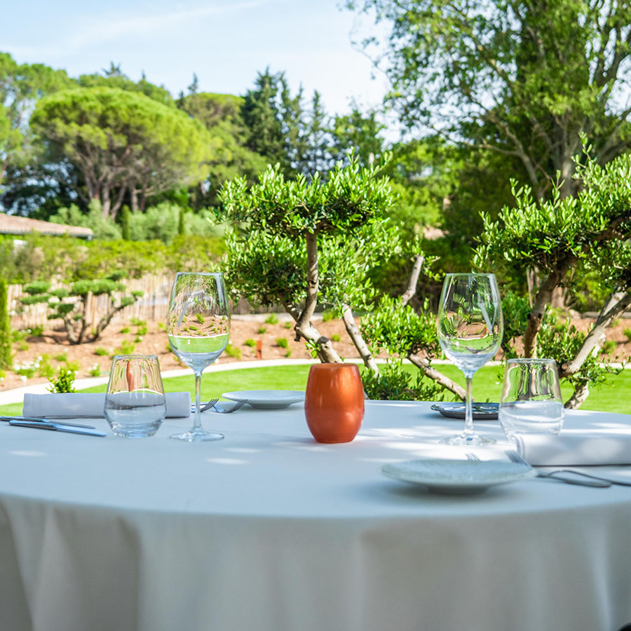 LE VALLON DE VALRUGUES & SPA 6